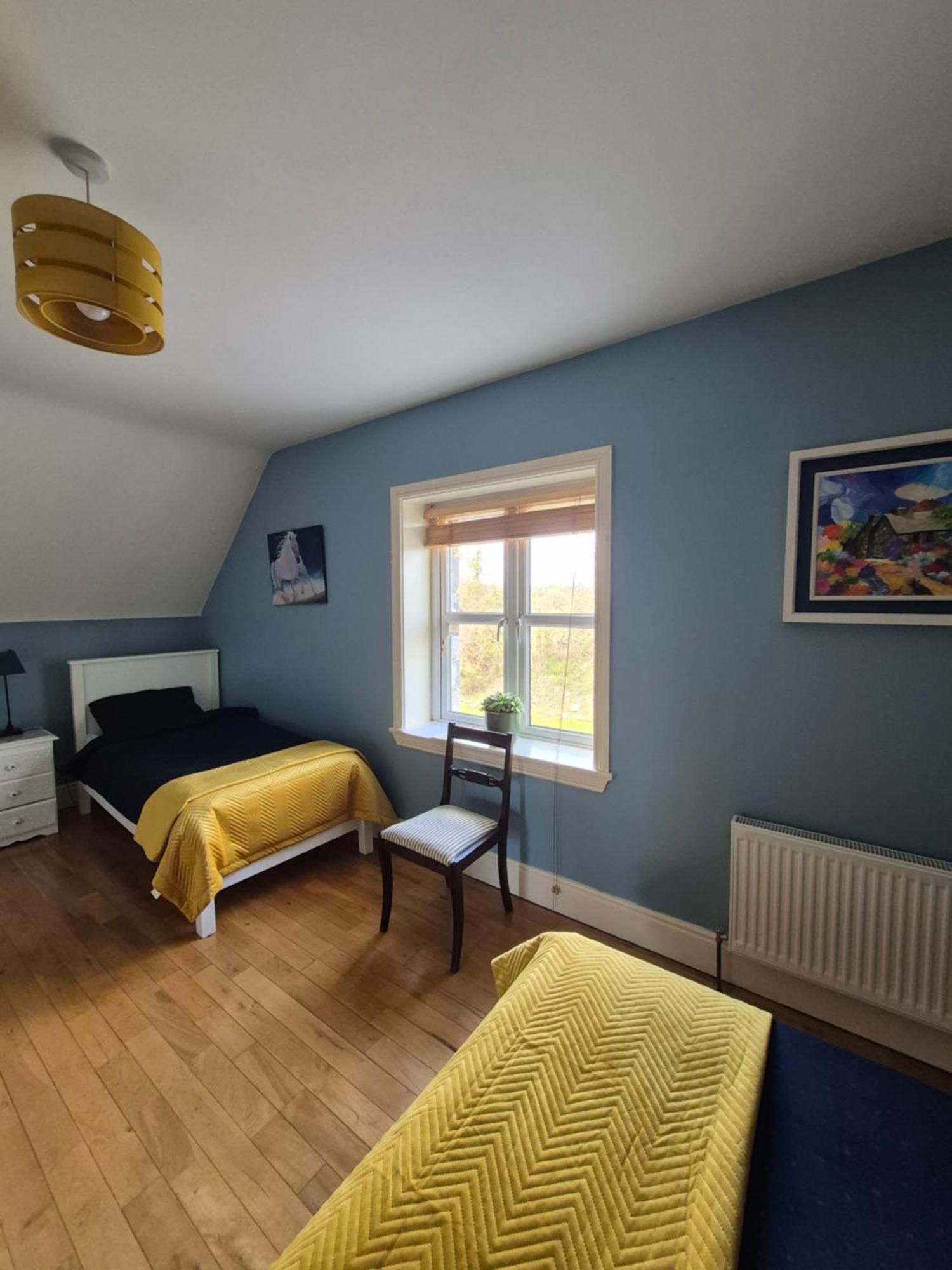 Ballinasloe Guest House In The Heart Of The Country 외부 사진